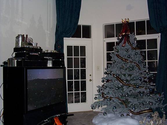 Christmas at my dad's house. The tree reflected nicely off theTV.