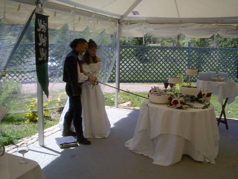 Marie & Jon's Wedding Cutting the cake with a rapier.