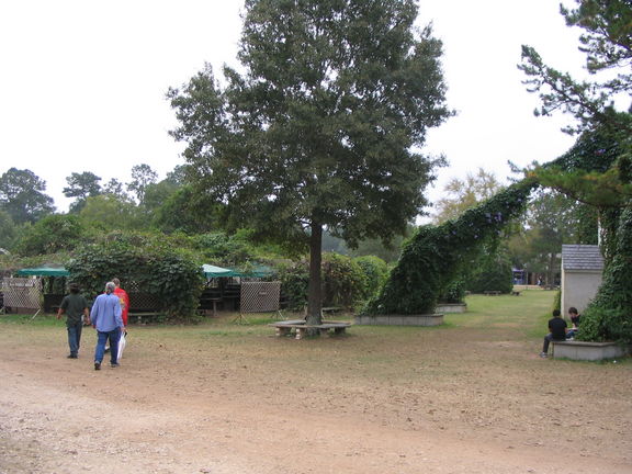 Spacious areas around the gardens and stages.
