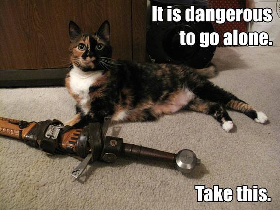 Halo, turned into a lolcat.
