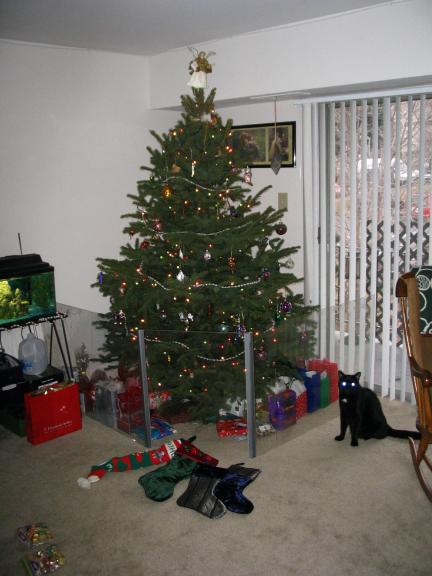 Christmas Day at Kat's! Here's her tree, complete with Vallan looking verydemonic with his glowing eyes. Yes, he really does that. *snicker* :)
