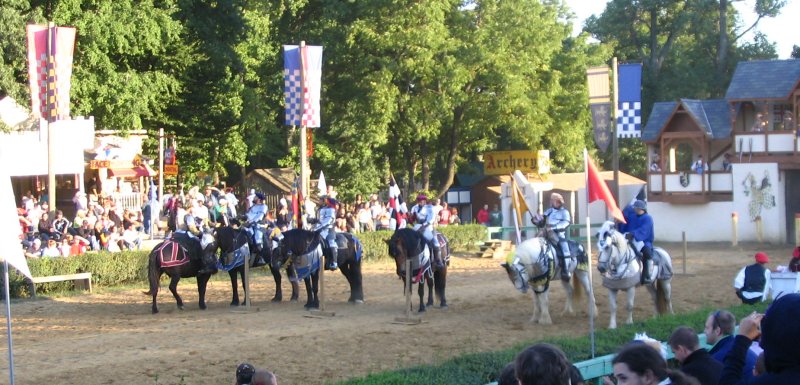 The jousters lined up at the end of the event.