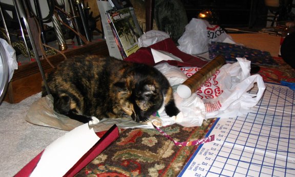Halo helping wrap presents