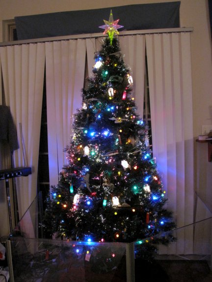 The Christmas Tree for 2009.